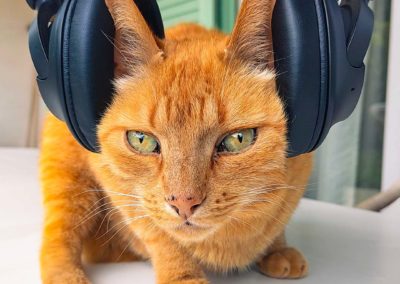 Chat roux avec un casque sur les oreilles